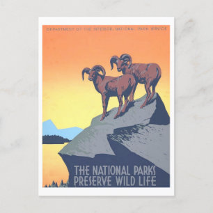 Vintages WPA-Poster: Wild Life Postcard Postkarte