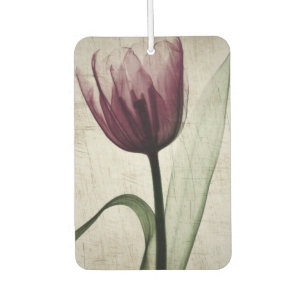 Vintages X-Ray Tulip Autolufterfrischer