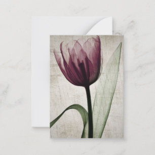 Vintages X-Ray Tulip Mitteilungskarte