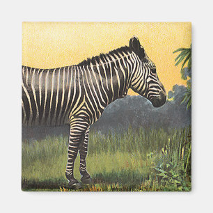 Vintages Zebra in der afrikanischen Savannah, Wild Magnet
