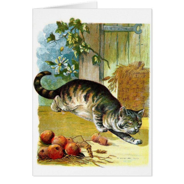 Vintages Zeichnen: Die schlaue Katze (Vorne)