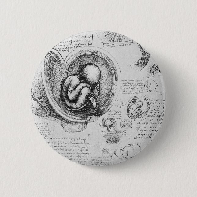 Vintages Zeichnen eines Fötusses in der Button (Vorderseite)