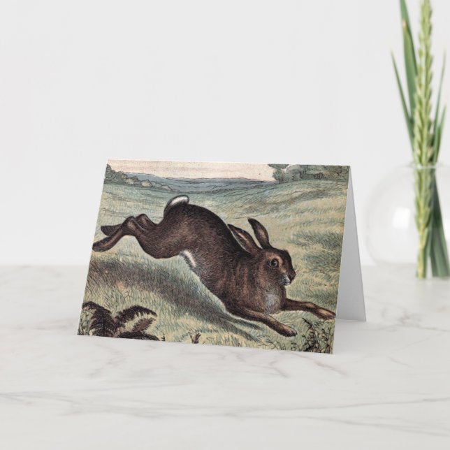 Vintages Zeichnen: Laufende Hasen auf einem Gebiet Karte (Vorderseite)