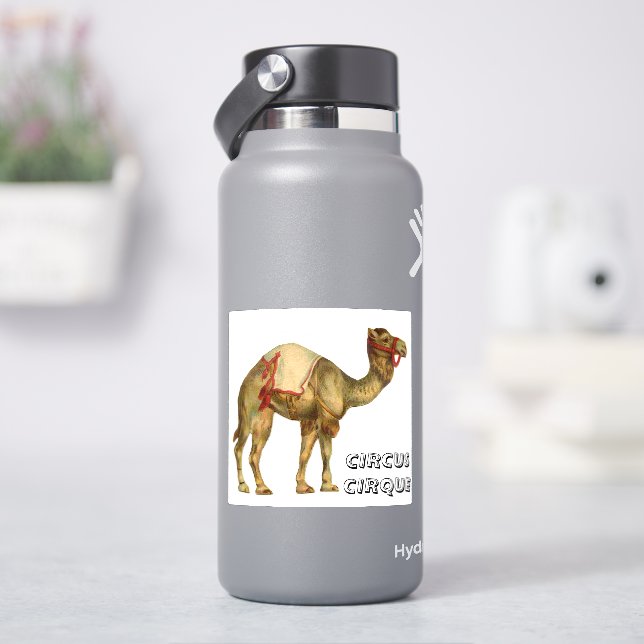 Vintages Zirkus-darstellend-Kamel Aufkleber (HydroFlask)