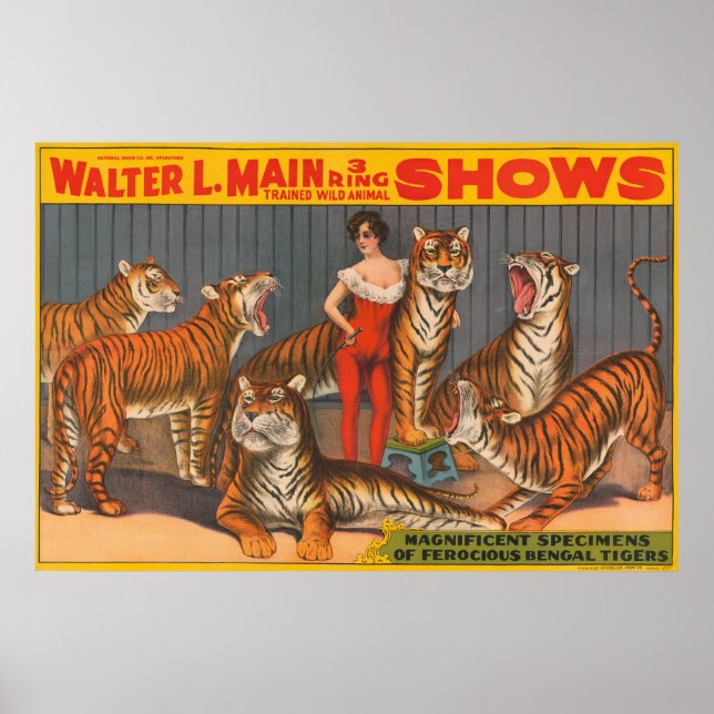 Vintages Zirkusposter der Frau mit sechs Tigern. Poster (Vorne)