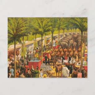 Vintages Zirkusposter von Tieren und Künstlern Postkarte