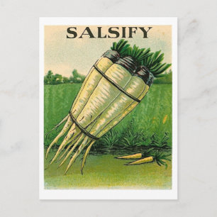 vintintsify seed packet postcard postkarte