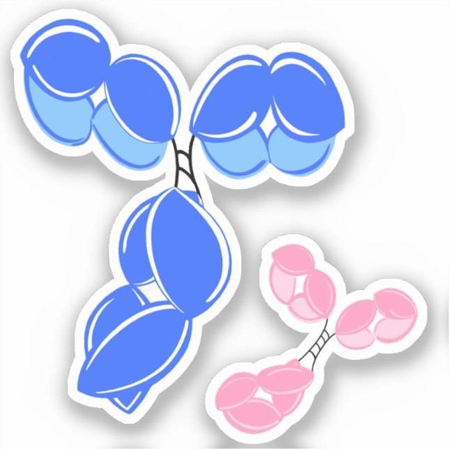 Vinyl-Aufkleber - blaues IgG (Antikörper) mit/-bon Aufkleber (Vorderseite)