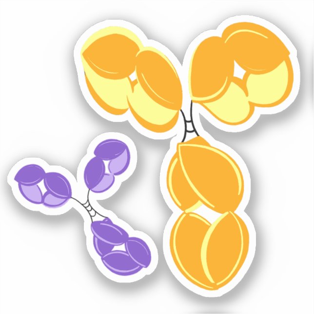 Vinyl-Aufkleber - gelbes IgG (Antikörper) mit/-bon Aufkleber (Vorderseite)