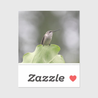 Vinyl-Aufkleber nach Maß Aufkleber