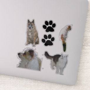 Vinyl Sticker - Katzen und Hunde