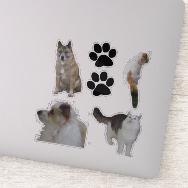 Vinyl Sticker - Katzen und Hunde (Detail)