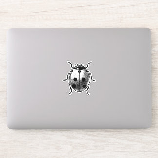 Vinyl Sticker Vintages Grafikbild Ladybug