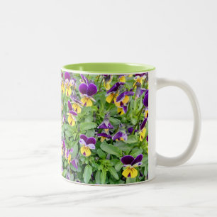 Viola-Blumen im Frühling Zweifarbige Tasse