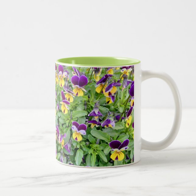 Viola-Blumen im Frühling Zweifarbige Tasse (Rechts)