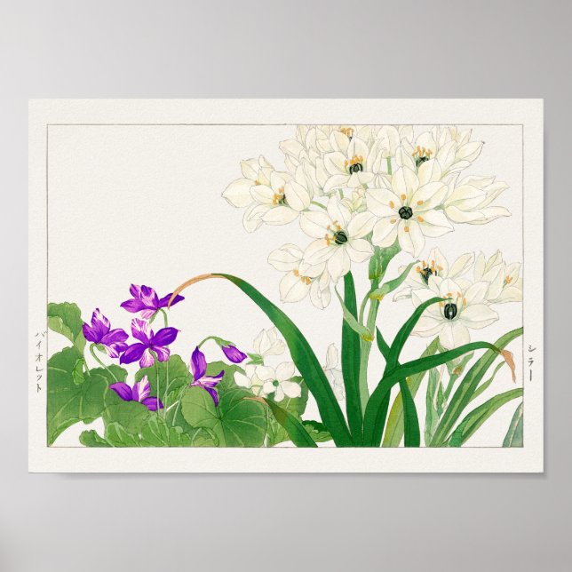 Viola, eine arabische Blume von Tanigami Konan Poster (Vorne)