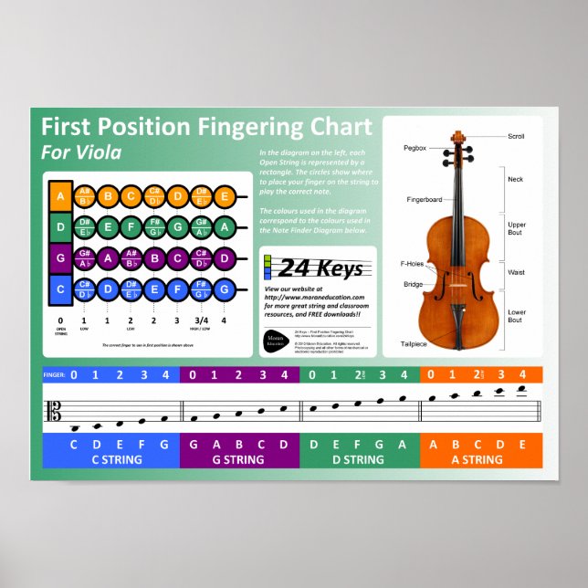 Viola Fingering Chart Poster (Vorne)