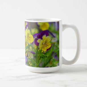 Viola Tasse