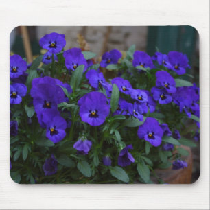 Viola witjana mousepad