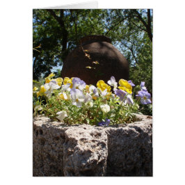 Violas in einem Steintrog.