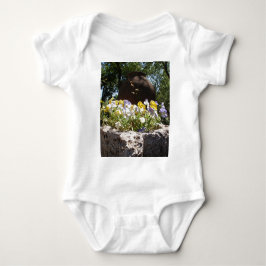 Violas in einem Steintrog. Baby Strampler