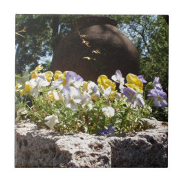 Violas in einem Steintrog. Fliese