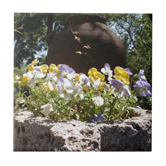 Violas in einem Steintrog. Fliese (Vorderseite)