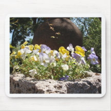 Violas in einem Steintrog.