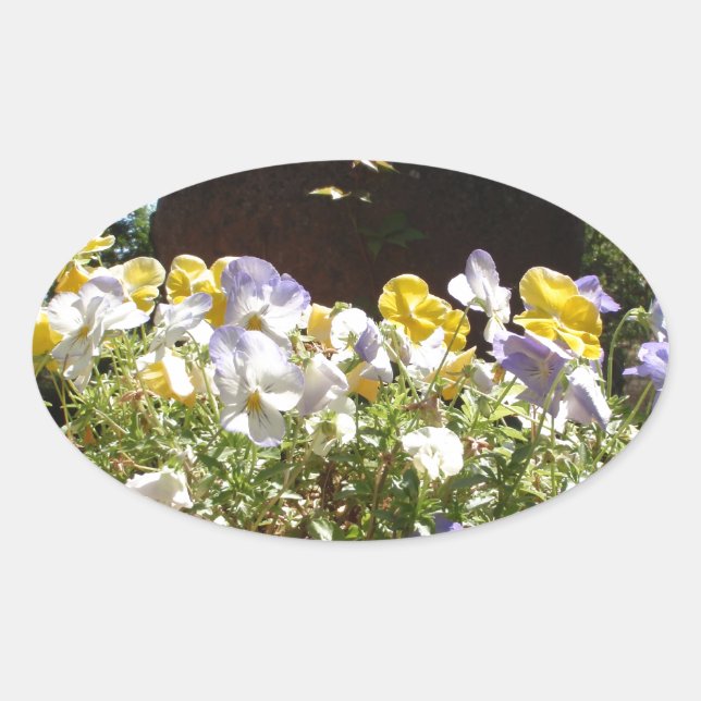 Violas in einem Steintrog. Ovaler Aufkleber (Vorderseite)