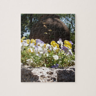 Violas in einem Steintrog. Puzzle