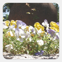 Violas in einem Steintrog. Quadratischer Aufkleber