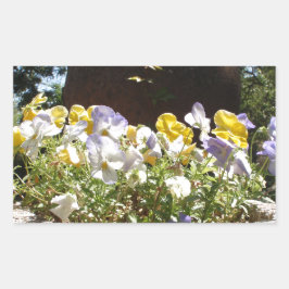 Violas in einem Steintrog. Rechteckiger Aufkleber