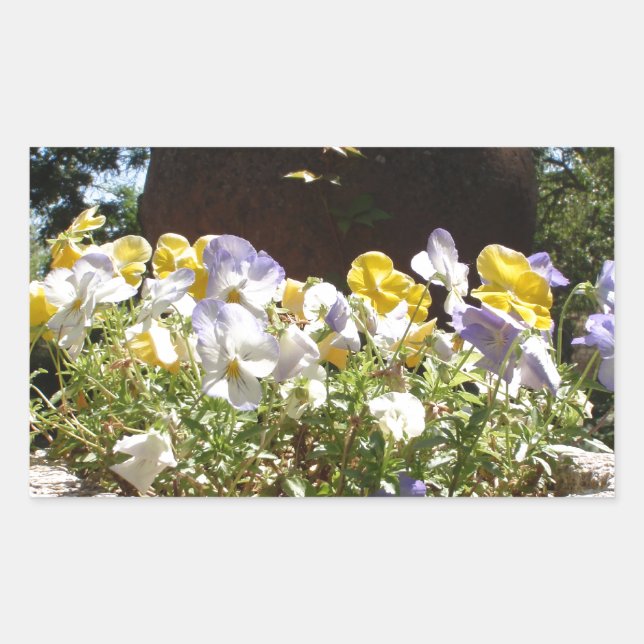 Violas in einem Steintrog. Rechteckiger Aufkleber (Vorderseite)