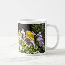 Violas in einem Steintrog. Tasse