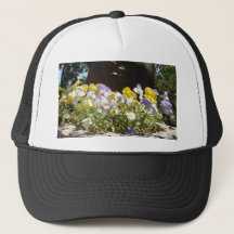 Violas in einem Steintrog.
