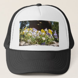Violas in einem Steintrog. Truckerkappe