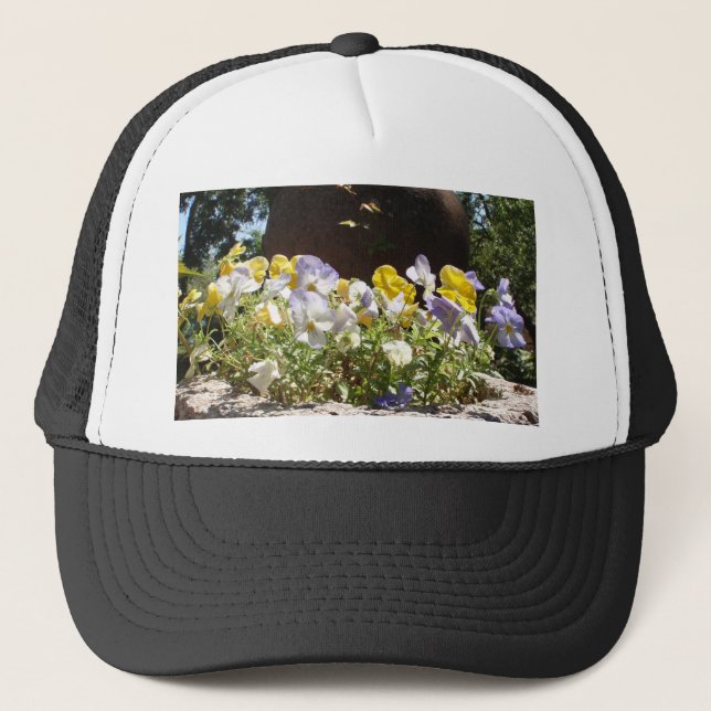 Violas in einem Steintrog. Truckerkappe (Vorderseite)