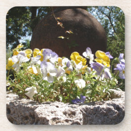 Violas in einem Steintrog. Untersetzer