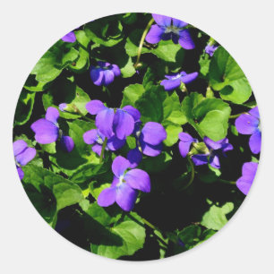 Violet-Aufkleber Runder Aufkleber