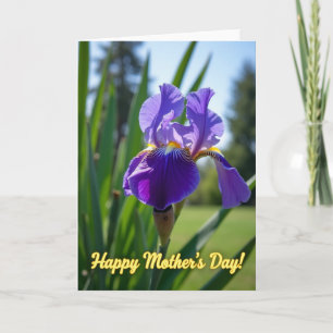 Violet Bloom Florale Karte