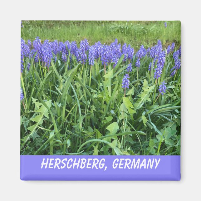 Violet Bluebell Magnet (Vorne)