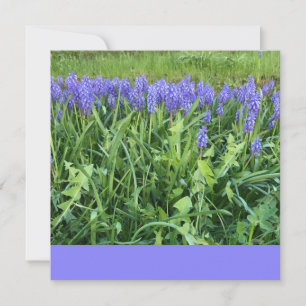 Violet Bluebells Fotografy - Herschberg, Deutschla Mitteilungskarte