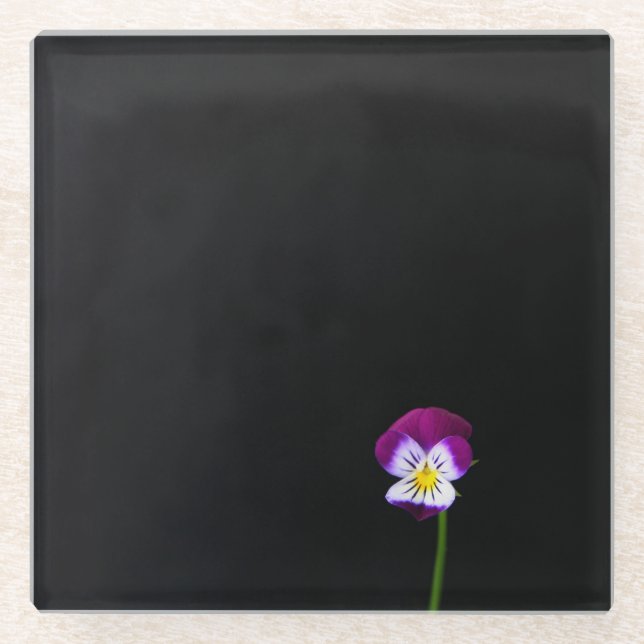 Violet-Blume Glasuntersetzer (Vorderseite)