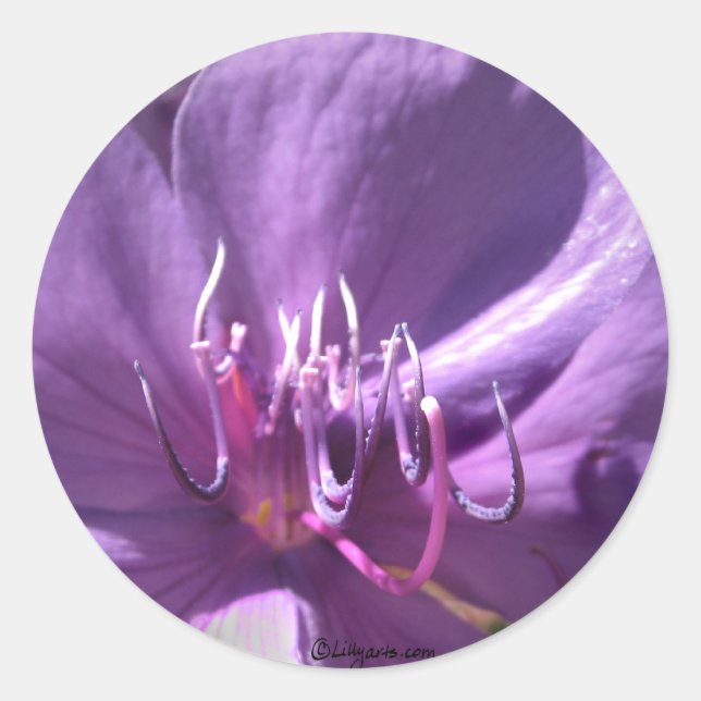 Violet Blume Hochzeitssänger Umschlag Aufkleber (Vorderseite)