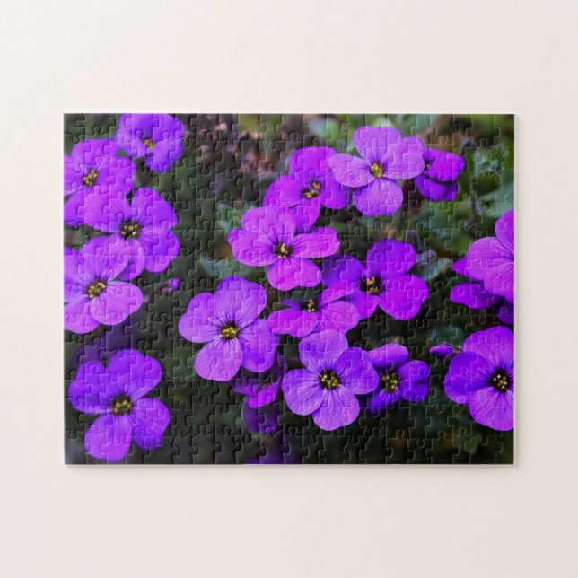 Violet Blume Jigsaw Puzzle Spring (Horizontal)