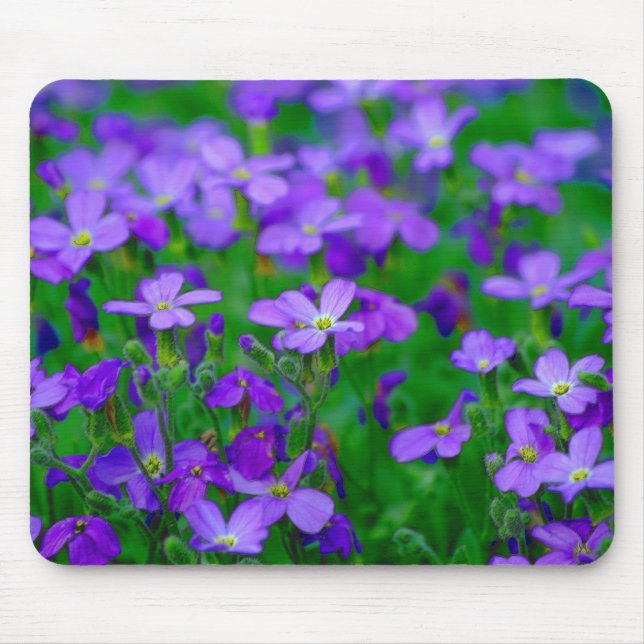 Violet Blume Mousepad (Vorne)