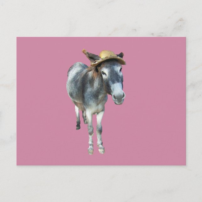 Violet den Donkey in Strohhut mit Blume Postkarte (Vorderseite)