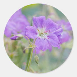 Violet Geranium Wildblume Dreamy Nature Foto Runder Aufkleber