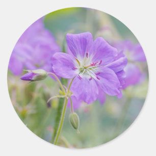 Violet Geranium Wildblume Dreamy Nature Foto Runder Aufkleber