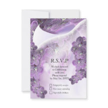 Violet Lila blühende Blume Orchideen